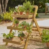 Cox & Cox Plant Pots & Troughs<Acacia Plant Stand