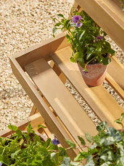 Cox & Cox Plant Pots & Troughs<Acacia Plant Stand