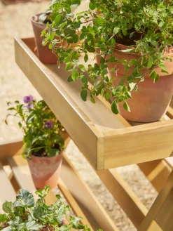 Cox & Cox Plant Pots & Troughs<Acacia Plant Stand