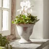 Cox & Cox Indoor Planting<Aged Effect Ceramic Planter