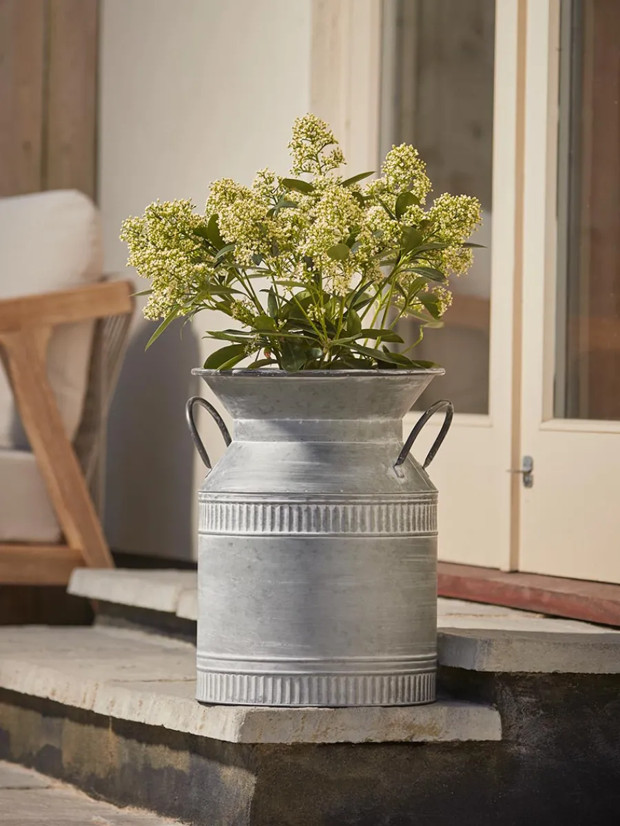 Cox & Cox Plant Pots & Troughs<Antique Zinc Milk Churn