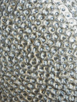 Cox & Cox Table Lamps|Bedside Lights<Blue Spiral Table Lamp