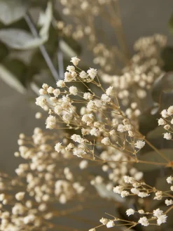Cox & Cox Faux Plants & Flowers<Dried Eucalyptus & Gypsophila Bouquet