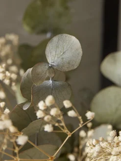 Cox & Cox Faux Plants & Flowers<Dried Eucalyptus & Gypsophila Bouquet