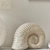 Cox & Cox Ornaments<Faux Ammonite