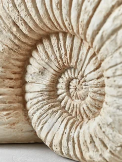 Cox & Cox Ornaments<Faux Ammonite