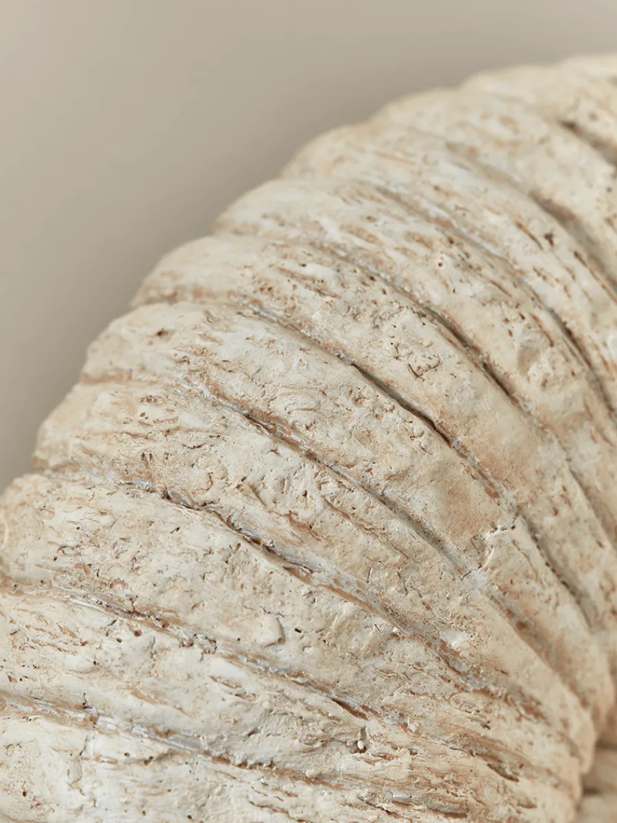 Cox & Cox Ornaments<Faux Ammonite