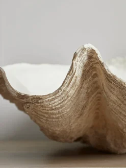 Cox & Cox Candle Holders<Faux Clam Shell