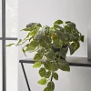 Cox & Cox Faux Potted Plants|Faux Plants & Flowers<Faux Potted Fittonia