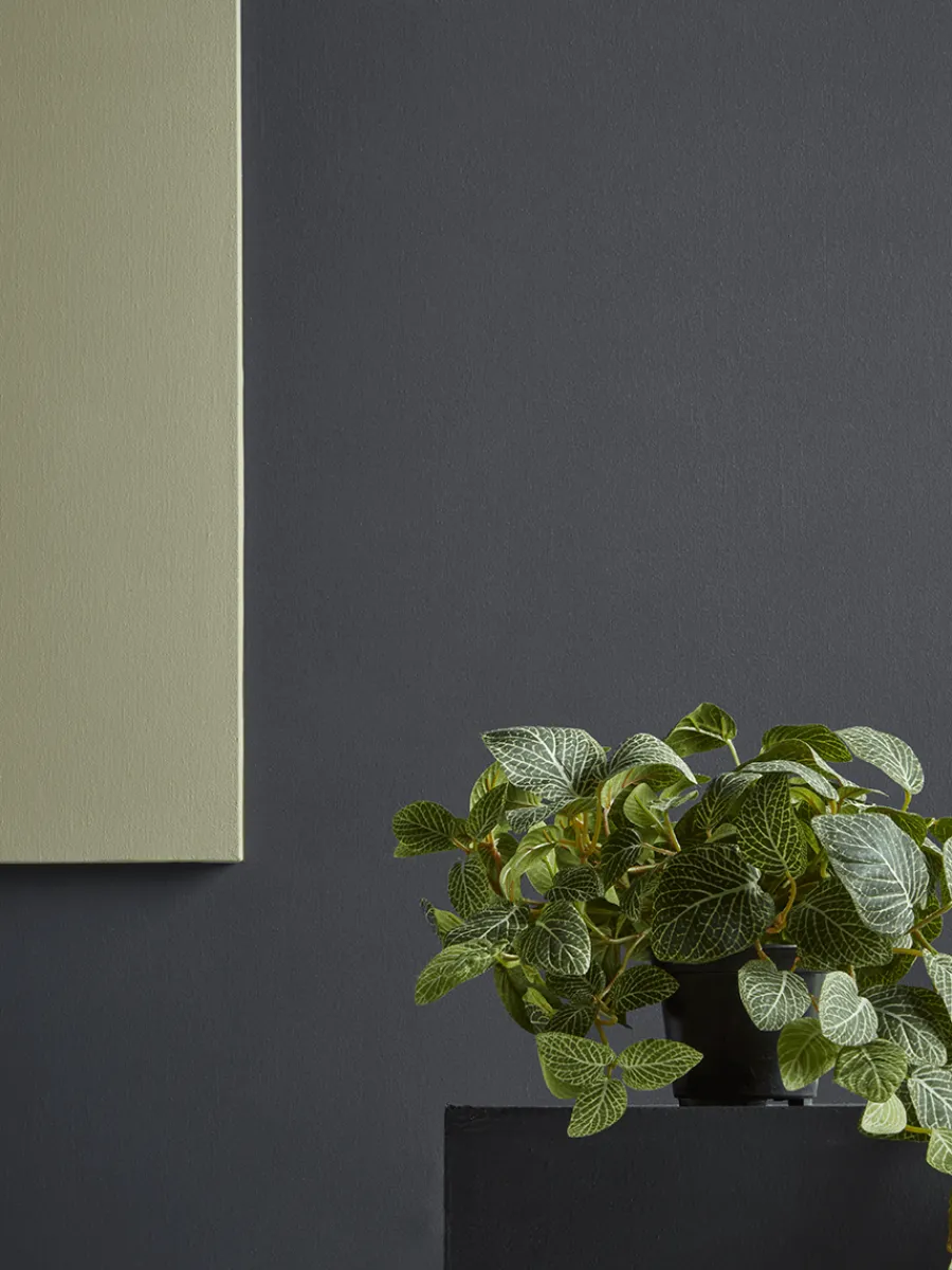 Cox & Cox Faux Potted Plants|Faux Plants & Flowers<Faux Potted Fittonia