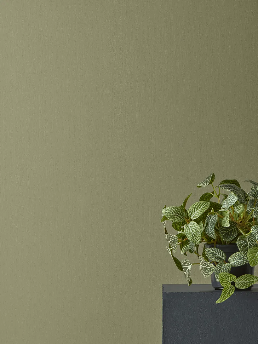 Cox & Cox Faux Potted Plants|Faux Plants & Flowers<Faux Potted Fittonia