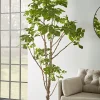 Cox & Cox Faux Potted Plants|Faux Plants & Flowers<Faux Potted Fruiting Fig Tree