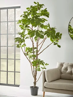 Cox & Cox Faux Potted Plants|Faux Plants & Flowers<Faux Potted Fruiting Fig Tree