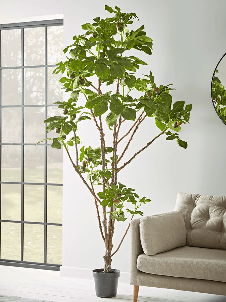 Cox & Cox Faux Potted Plants|Faux Plants & Flowers<Faux Potted Fruiting Fig Tree