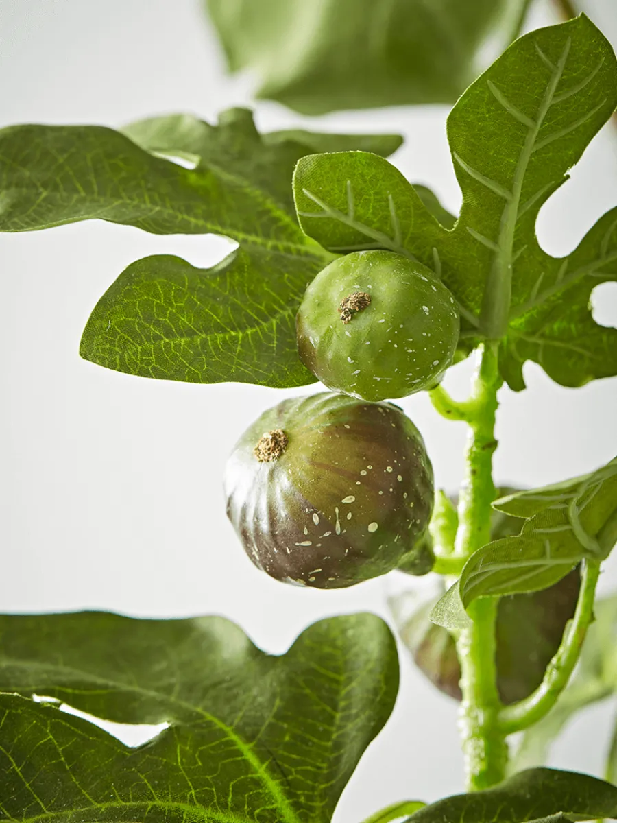 Cox & Cox Faux Potted Plants|Faux Plants & Flowers<Faux Potted Fruiting Fig Tree