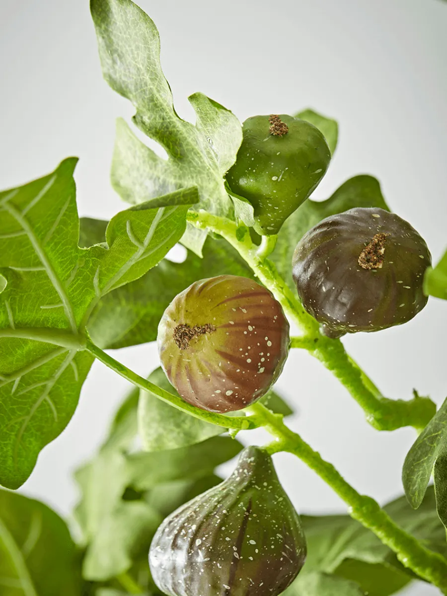 Cox & Cox Faux Potted Plants|Faux Plants & Flowers<Faux Potted Fruiting Fig Tree