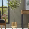 Cox & Cox Faux Potted Plants|Faux Plants & Flowers<Faux Potted Olive Tree