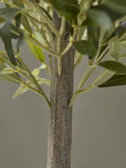Cox & Cox Faux Potted Plants|Faux Plants & Flowers<Faux Potted Olive Tree