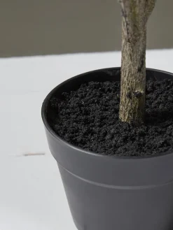 Cox & Cox Faux Potted Plants|Faux Plants & Flowers<Faux Potted Olive Tree