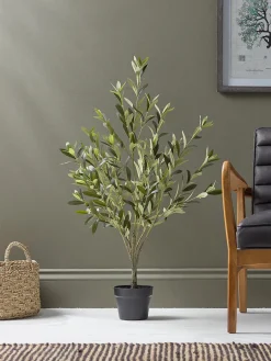 Cox & Cox Faux Potted Plants|Faux Plants & Flowers<Faux Potted Olive Tree