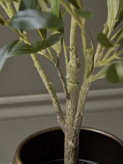 Cox & Cox Faux Potted Plants|Faux Plants & Flowers<Faux Potted Olive Tree