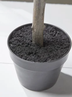 Cox & Cox Faux Potted Plants|Faux Plants & Flowers<Faux Potted Olive Tree
