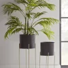 Cox & Cox Faux Potted Plants|Faux Plants & Flowers<Faux Potted Palm Tree