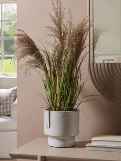 Cox & Cox Faux Plants & Flowers<Faux Potted Pampas Grass