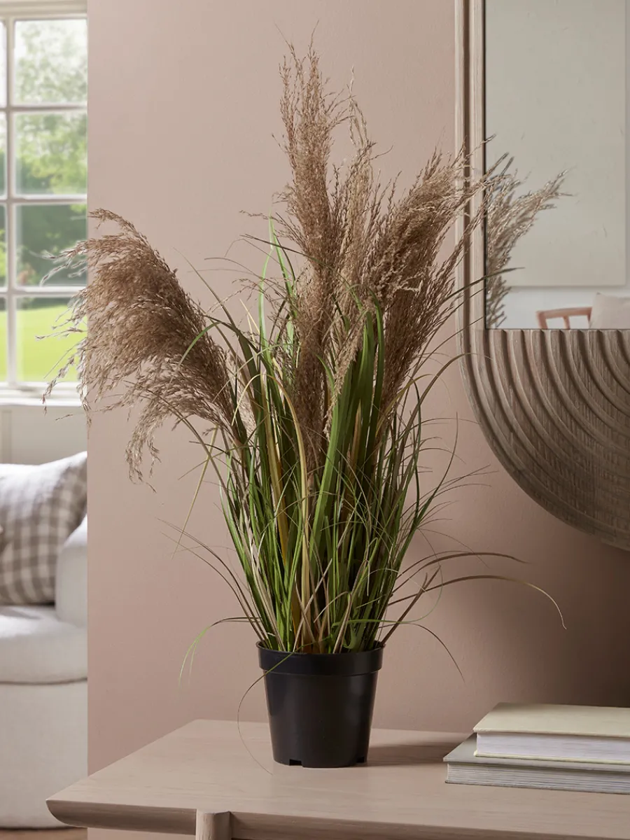 Cox & Cox Faux Plants & Flowers<Faux Potted Pampas Grass