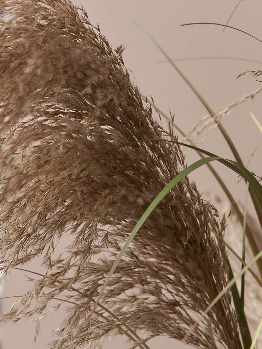 Cox & Cox Faux Plants & Flowers<Faux Potted Pampas Grass