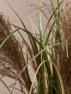 Cox & Cox Faux Plants & Flowers<Faux Potted Pampas Grass
