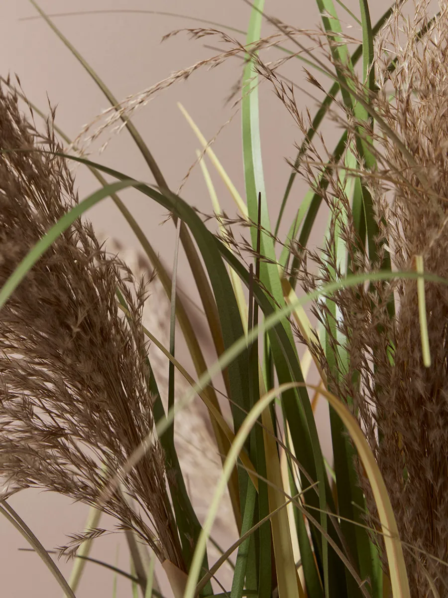 Cox & Cox Faux Plants & Flowers<Faux Potted Pampas Grass