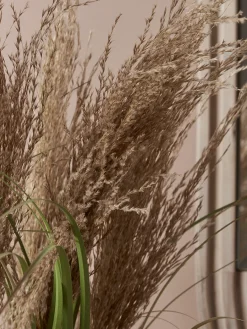 Cox & Cox Faux Plants & Flowers<Faux Potted Pampas Grass