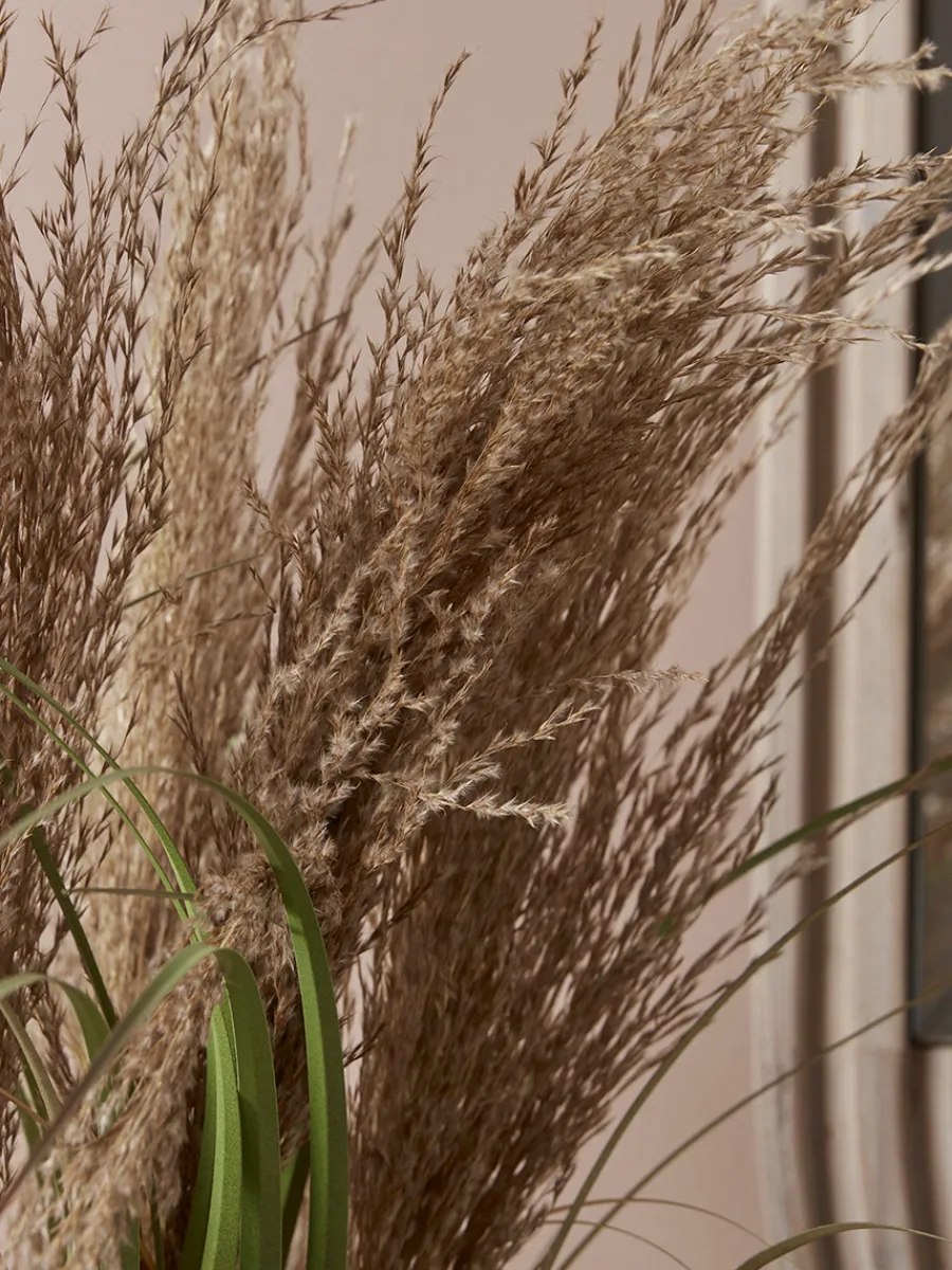 Cox & Cox Faux Plants & Flowers<Faux Potted Pampas Grass