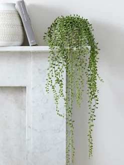 Cox & Cox Faux Potted Plants|Faux Plants & Flowers<Faux Potted String of Pearls