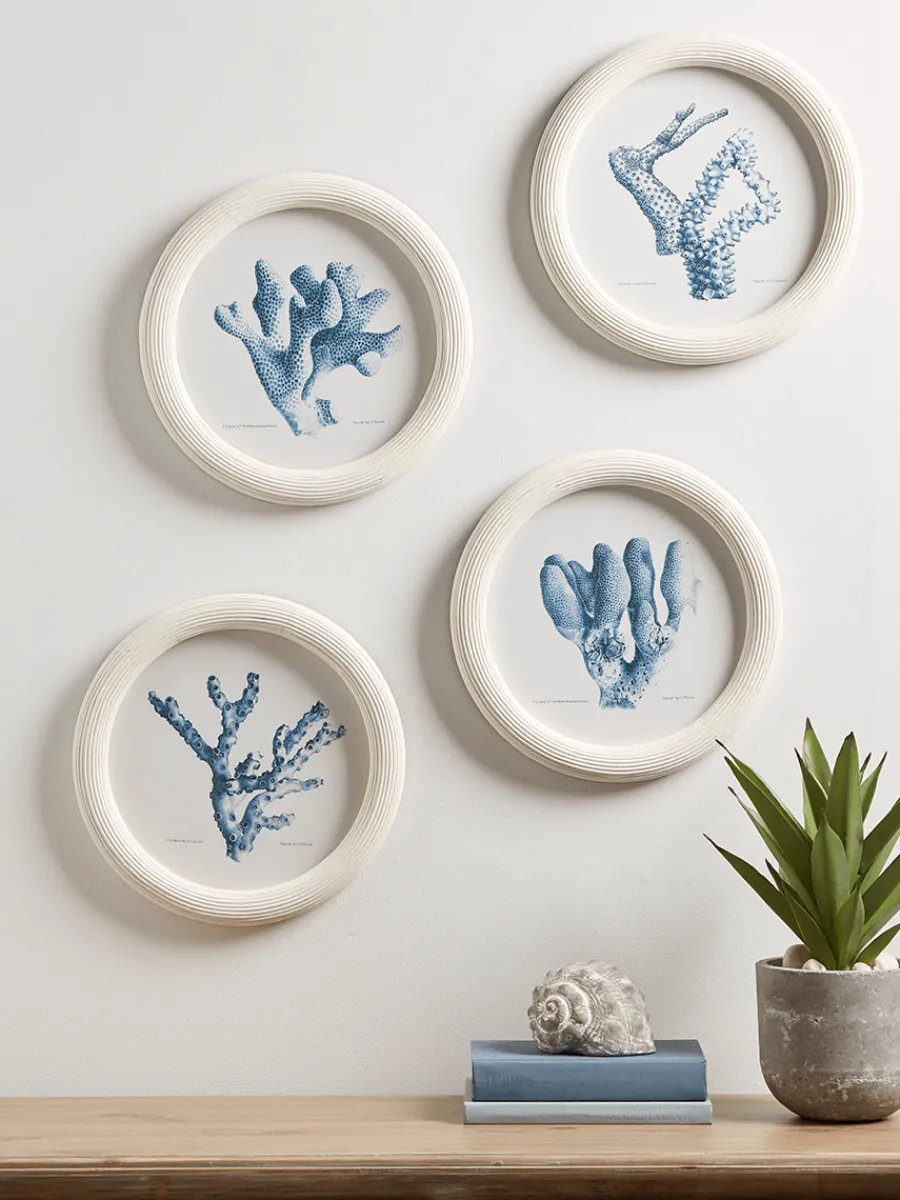 Cox & Cox Wall Art<Four Coral Framed Prints