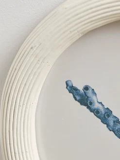 Cox & Cox Wall Art<Four Coral Framed Prints