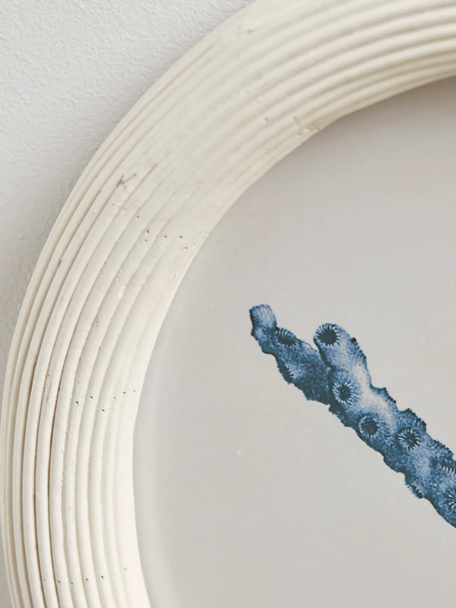 Cox & Cox Wall Art<Four Coral Framed Prints