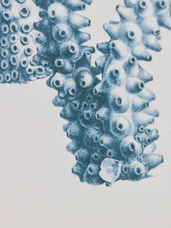 Cox & Cox Wall Art<Four Coral Framed Prints