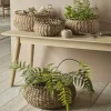 Cox & Cox Indoor Planting<Four Decorative Seagrass Planters