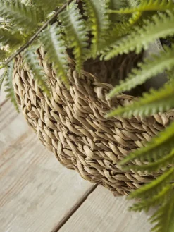 Cox & Cox Indoor Planting<Four Decorative Seagrass Planters