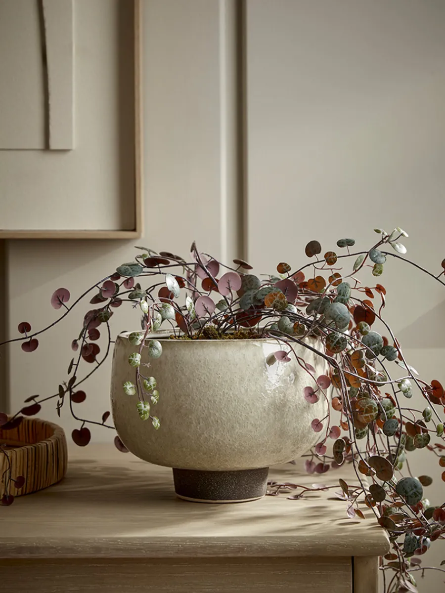 Cox & Cox Indoor Planting<Glazed Footed Planter