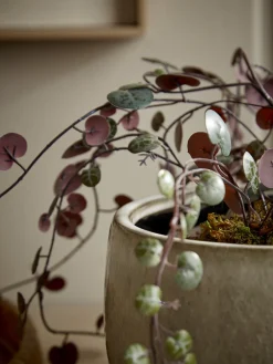 Cox & Cox Indoor Planting<Glazed Footed Planter