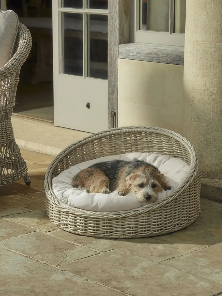 Cox & Cox Pet Beds|Pet Beds<Indoor Outdoor Willow Petbed