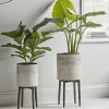 Cox & Cox Indoor Planting<Ombre Whitewashed Standing Planter