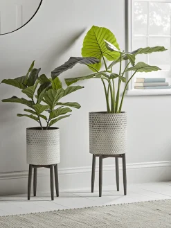 Cox & Cox Indoor Planting<Ombre Whitewashed Standing Planter