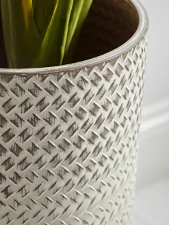 Cox & Cox Indoor Planting<Ombre Whitewashed Standing Planter