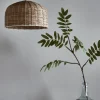 Cox & Cox Pendants<Rattan Dome Pendant