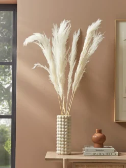 Cox & Cox Faux Stems|Faux Plants & Flowers<Six Pampas Grass Stems - Cream