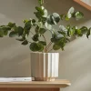Cox & Cox Indoor Planting<Speckled Fluted Planter